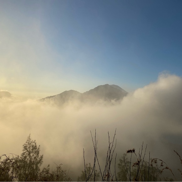 Meet your Posher, Chris - Picture 6 of 16